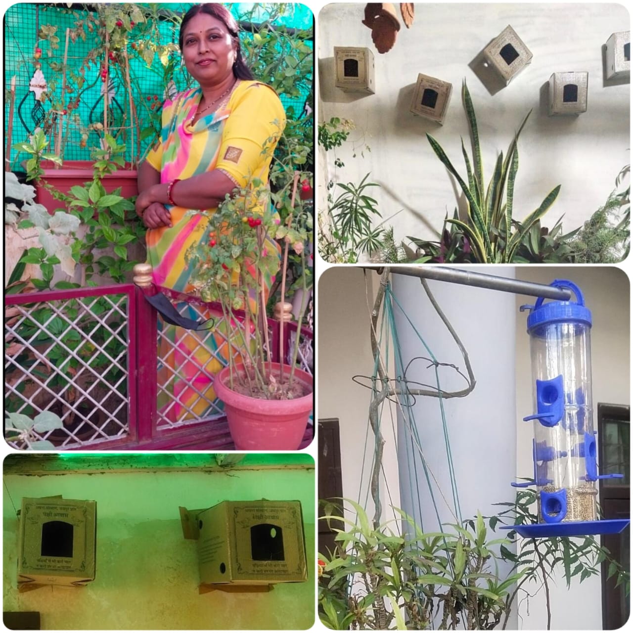 Rajdhani Jaipur: गर्मी में किचन गार्डन की छत बनी पक्षियों का बसेरा